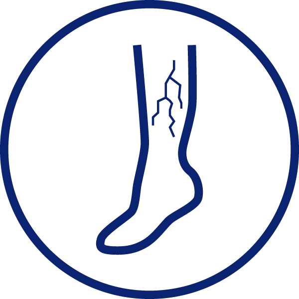 Vascular Lesion icon